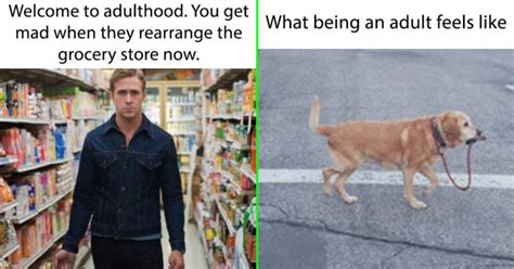 adulting funny memes|45 Hilariously Relatable Adulting Memes To Survive This Week's .